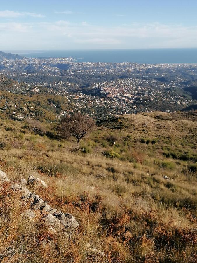 Au Milieu D Oliveraie De La Huppe